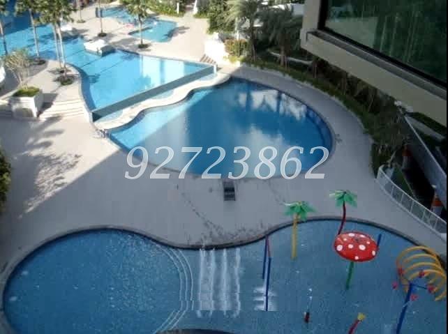 Tree House (D23), Condominium #158041012